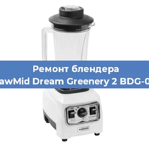 Замена щеток на блендере RawMid Dream Greenery 2 BDG-03 в Новосибирске